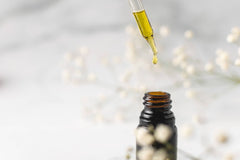 Can Epilepsy Be Treated with CBD Oil?